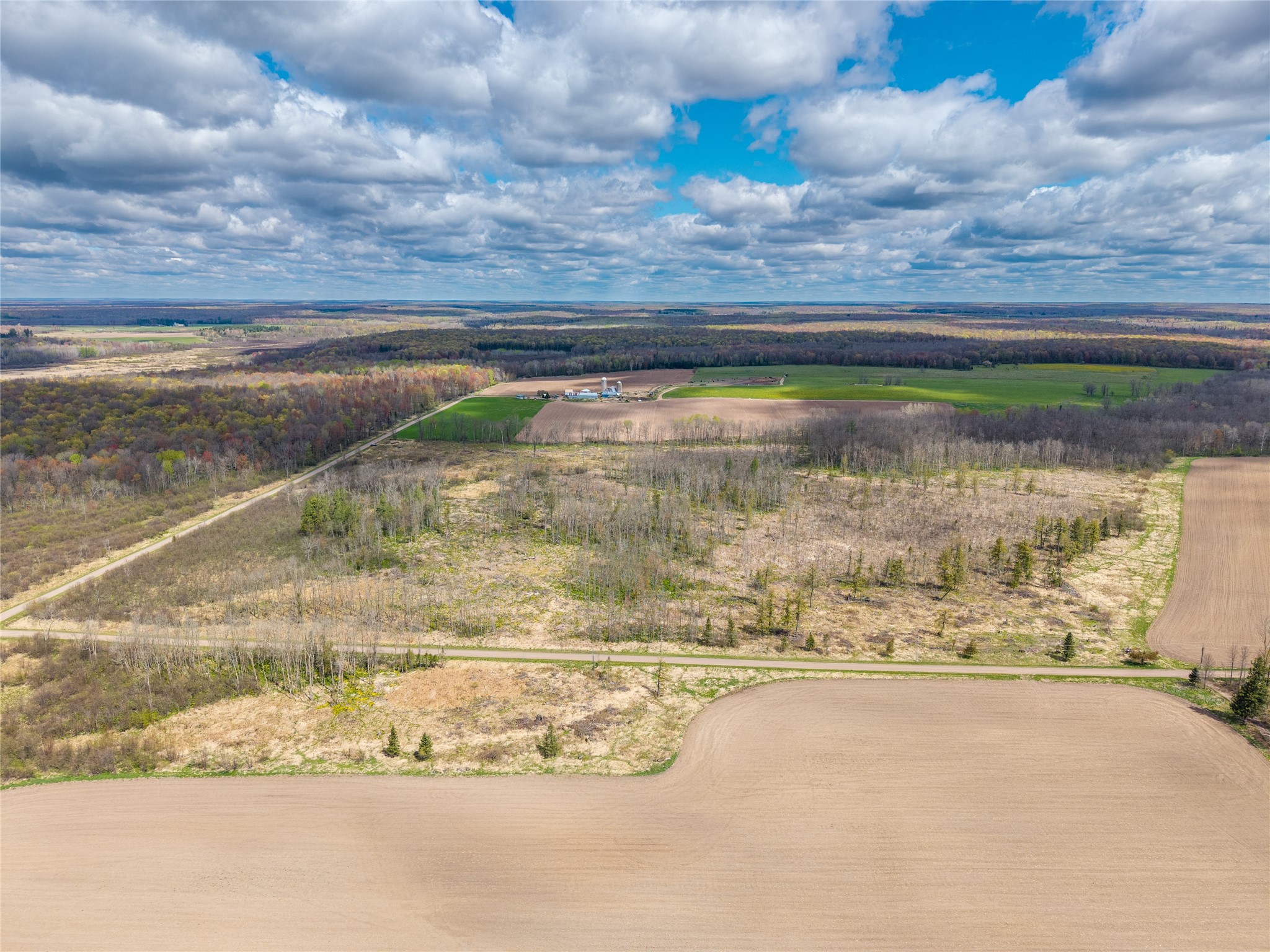 40 Acres Anderson & School Road Glen Flora WI 54526 1601150 image6