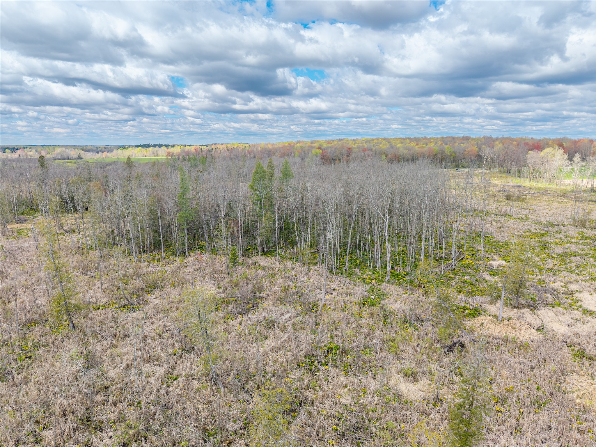 40 Acres Anderson & School Road Glen Flora WI 54526 1601150 image8