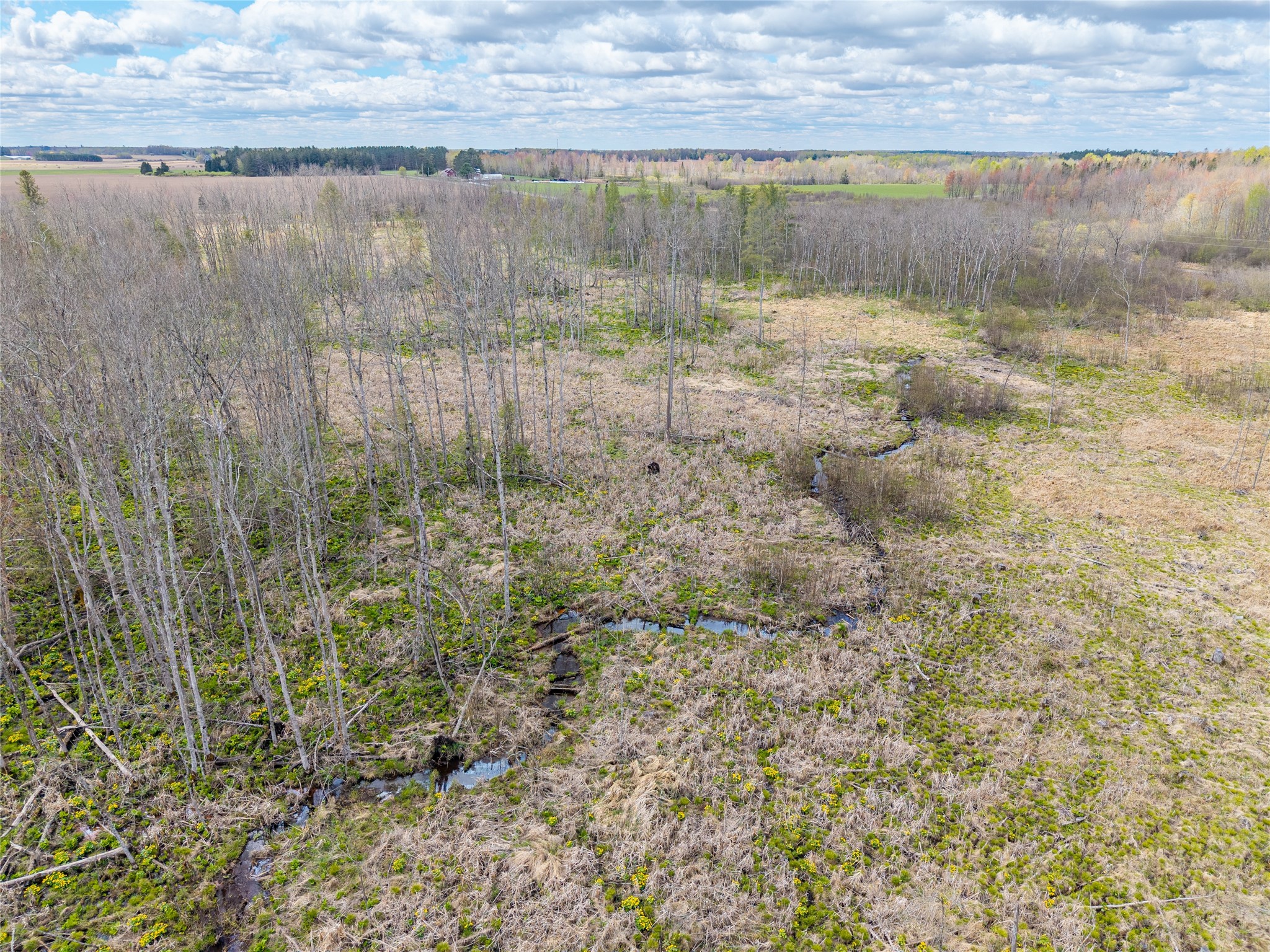 40 Acres Anderson & School Road Glen Flora WI 54526 1601150 image9