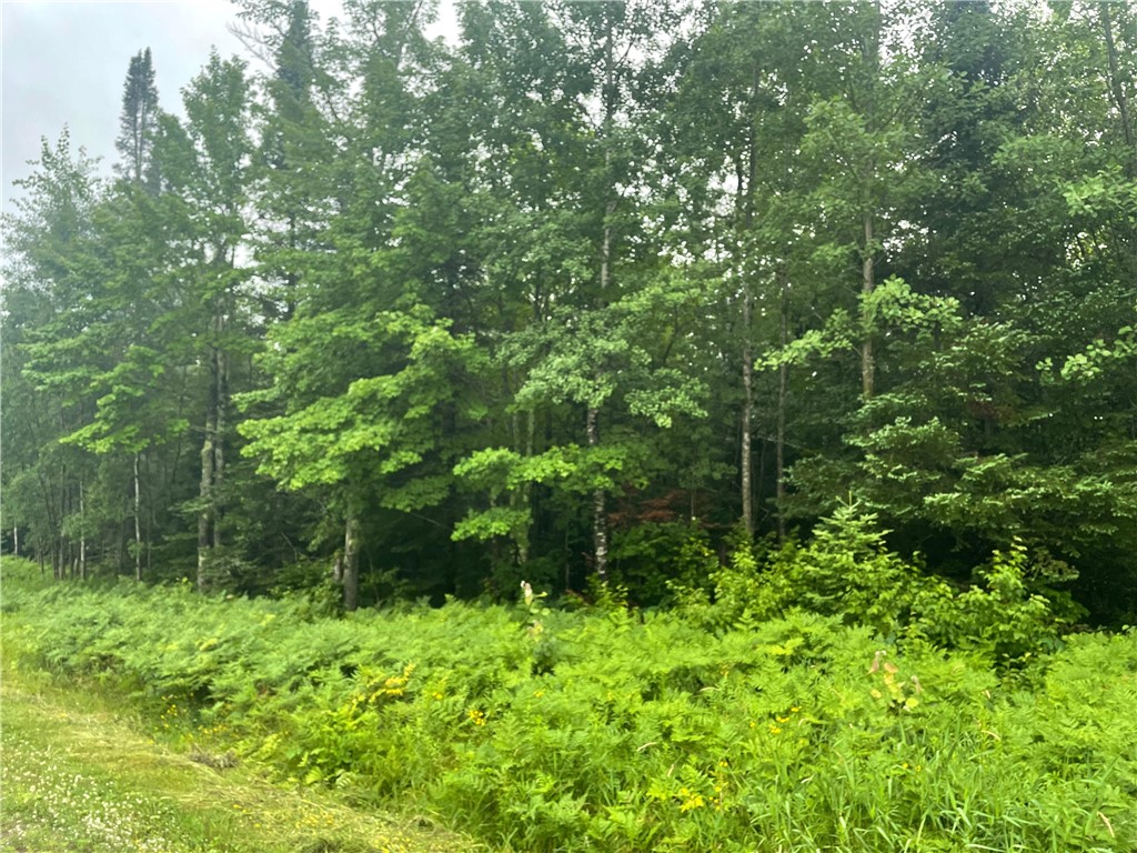 40 Acres Corner Of Cty N And Mackenberg Rd Glidden WI 54527 1593918 image1