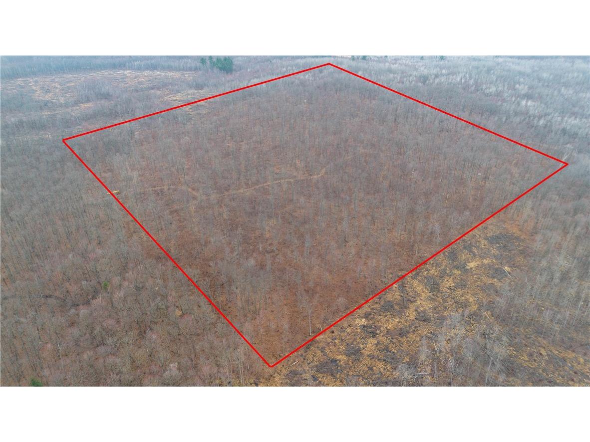 40 Acres Dickerson Avenue Thorp WI 54771 1590566 image1