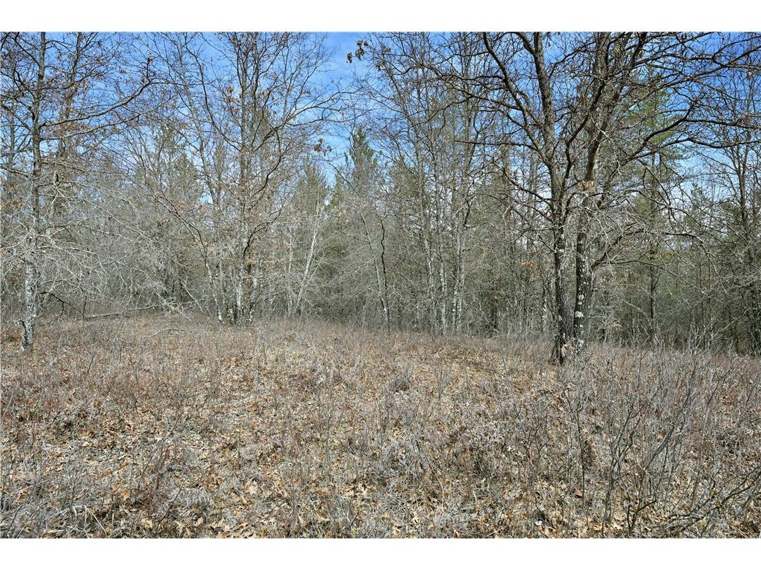 40 Acres East Flowage Road Spooner WI 54801 1590593 image10