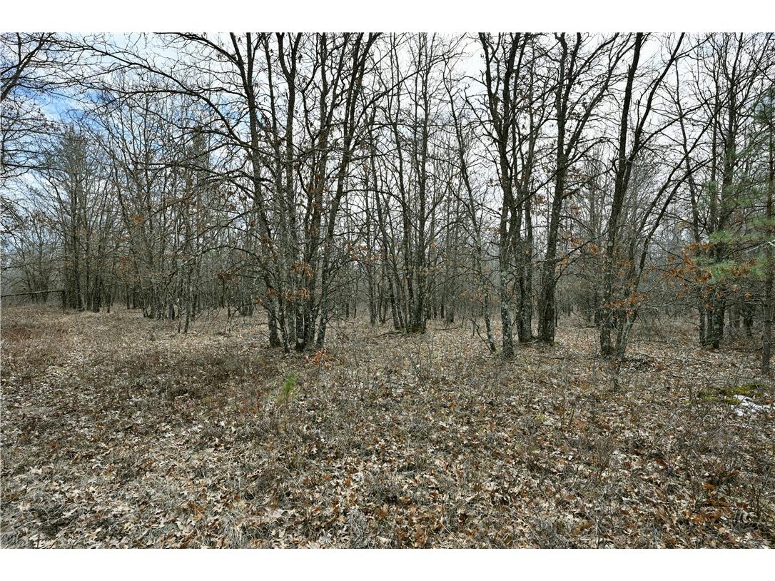 40 Acres East Flowage Road Spooner WI 54801 1590593 image2