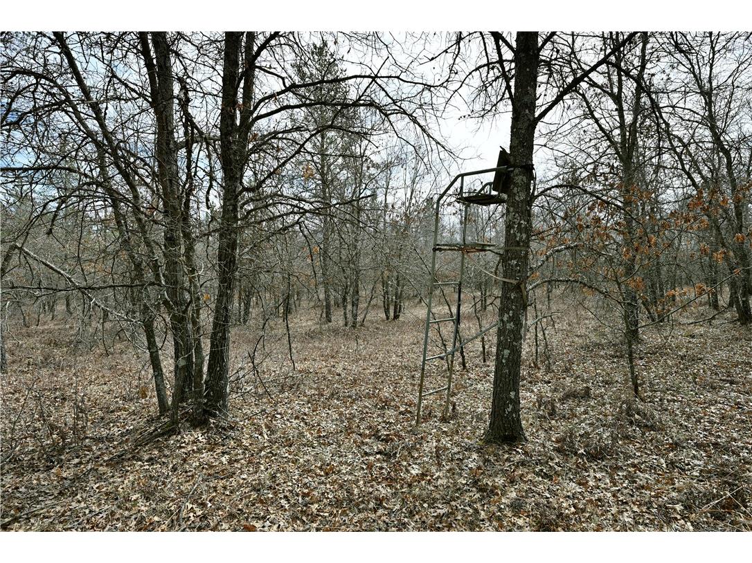 40 Acres East Flowage Road Spooner WI 54801 1590593 image5