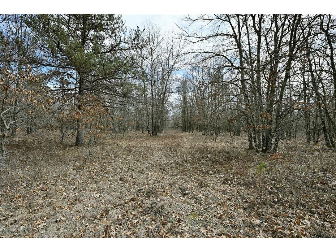 40 Acres East Flowage Road Spooner WI 54801 1590593 image6