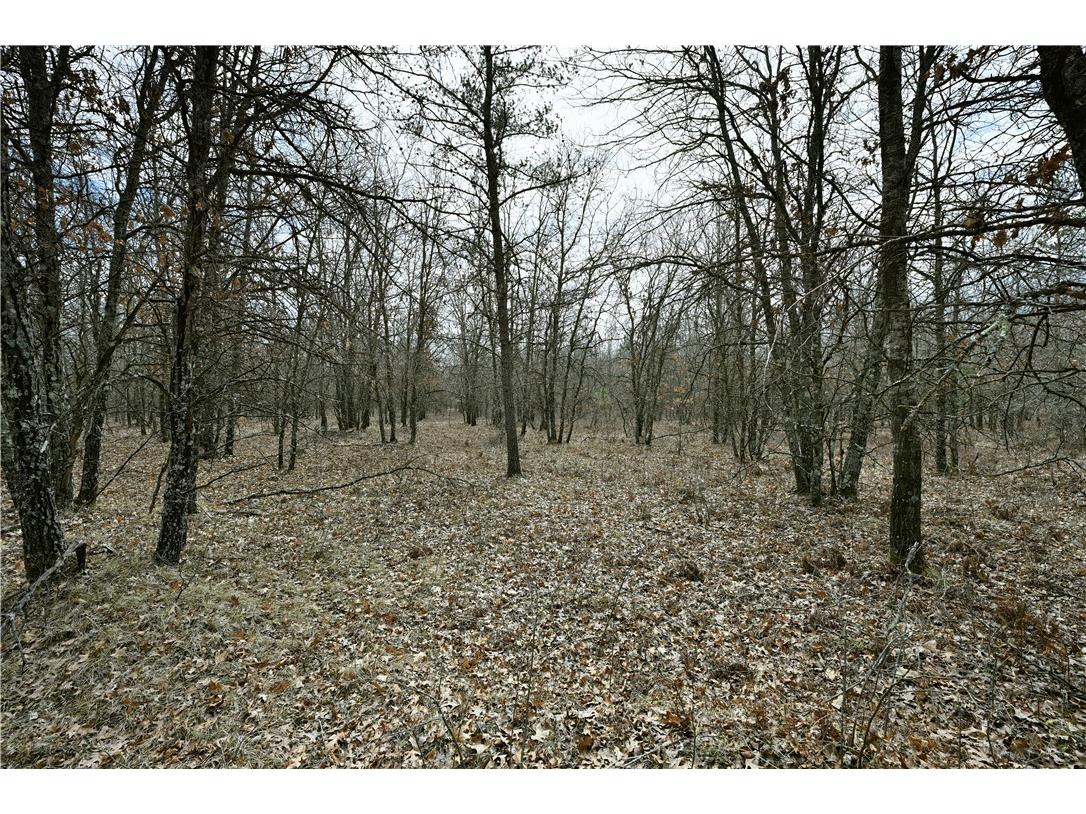 40 Acres East Flowage Road Spooner WI 54801 1590593 image7