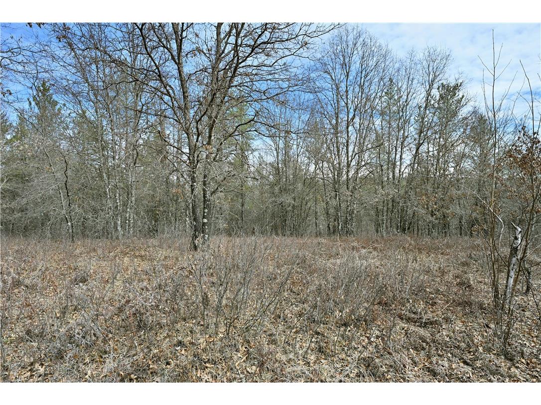40 Acres East Flowage Road Spooner WI 54801 1590593 image8