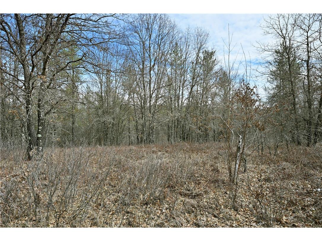 40 Acres East Flowage Road Spooner WI 54801 1590593 image9