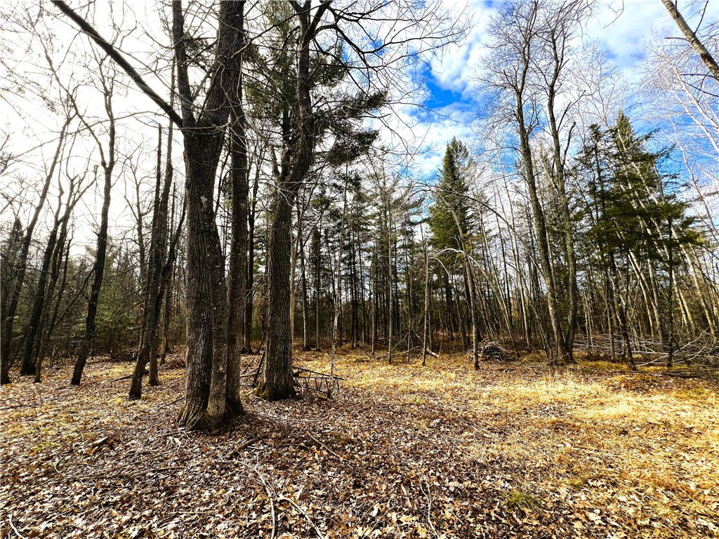 40 Acres N Irish Road Exeland WI 54835 1580330 image1
