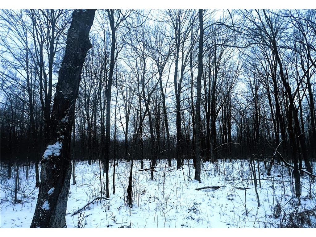 40 Acres Off Deer Path Road, Jump River, WI, 54766 MLS 1579043