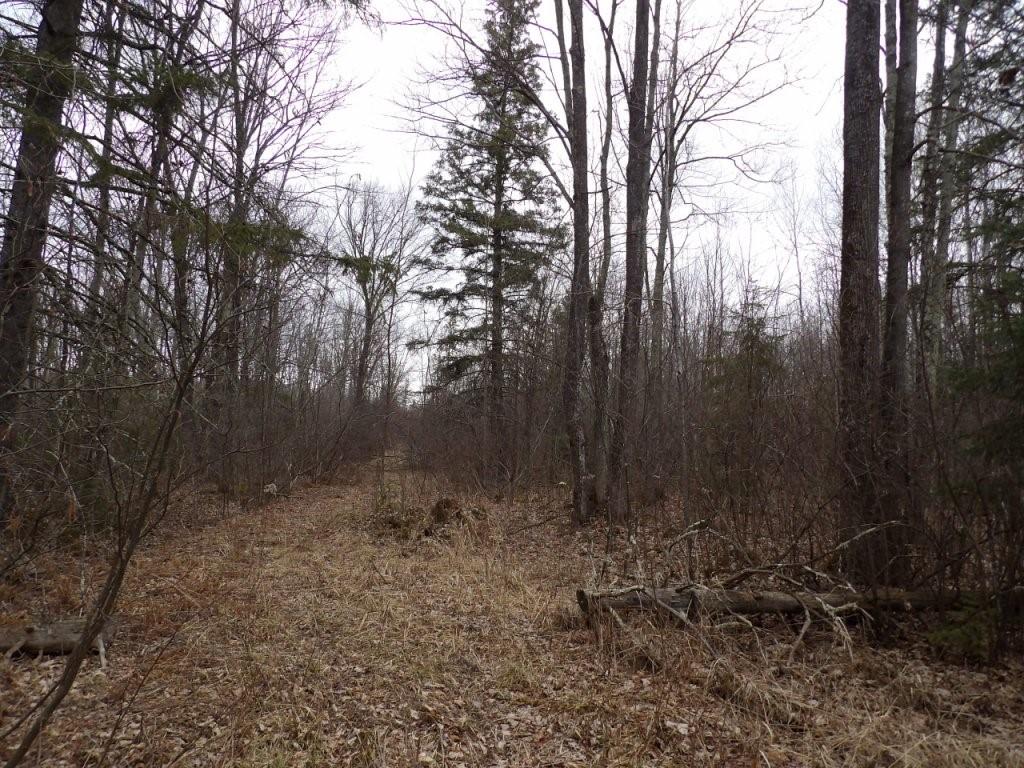 40+/- Acres Off Wright Road Winter WI 54896 1581534 image1