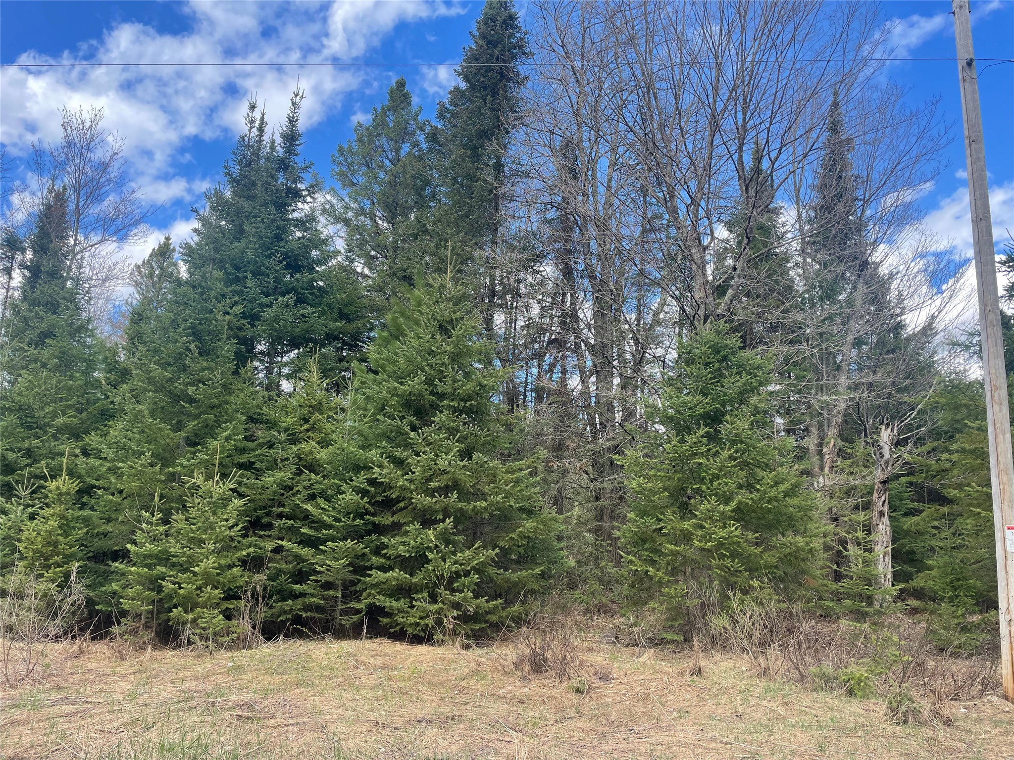 40 +/- Acres On Pociask Road Butternut WI 54514 1601090 image1