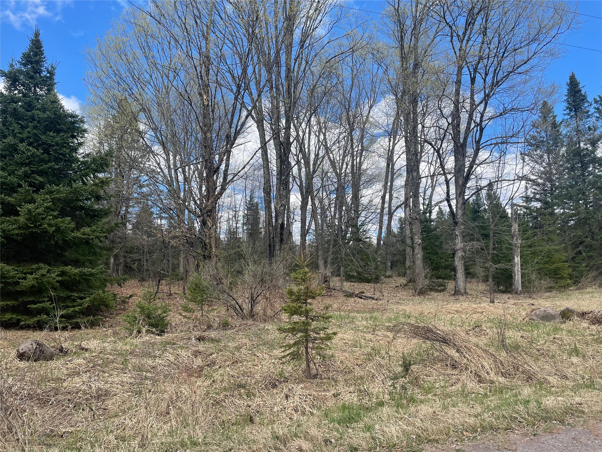 40 +/- Acres On Pociask Road Butternut WI 54514 1601090 image2