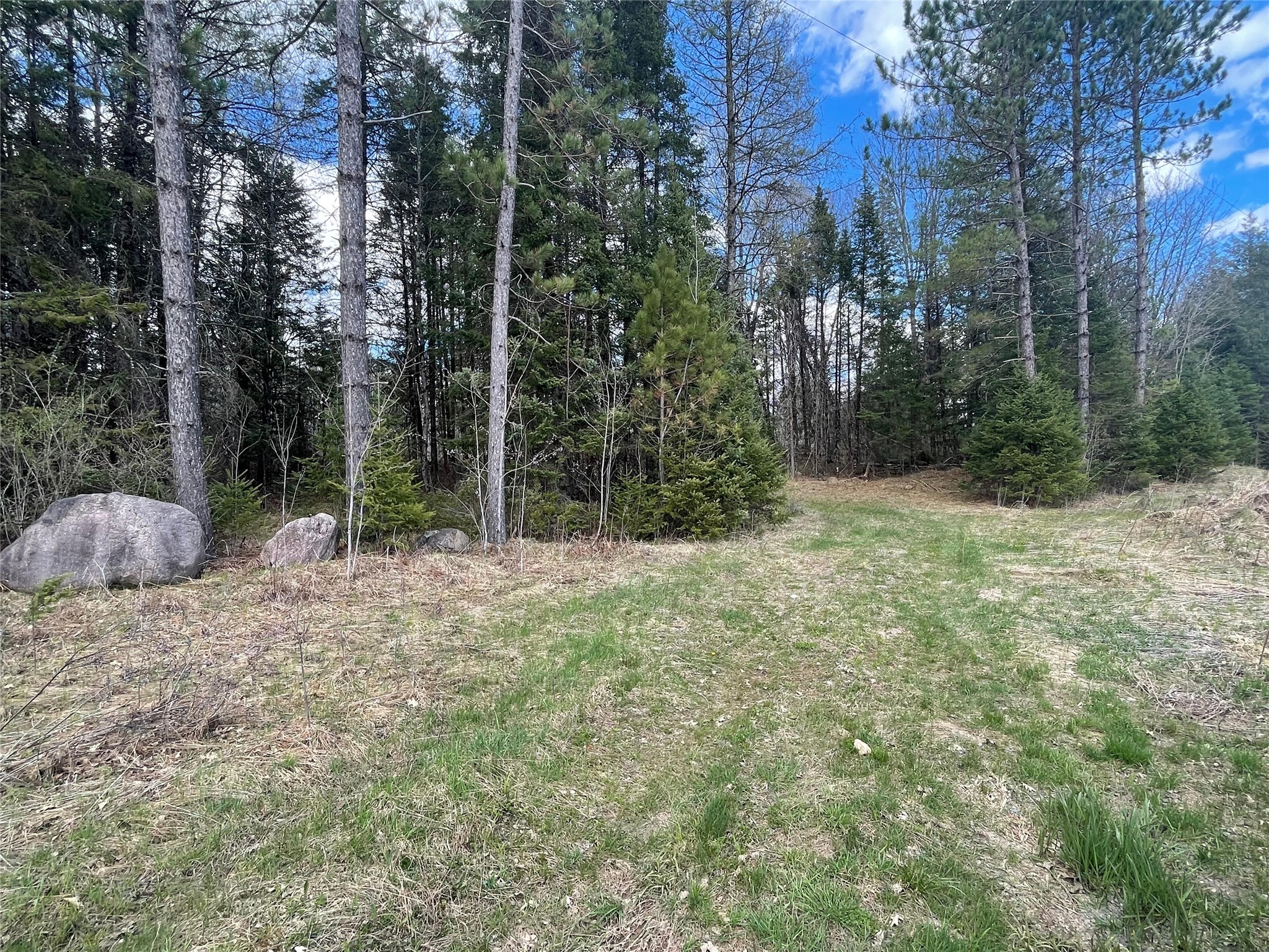 40 +/- Acres On Pociask Road Butternut WI 54514 1601090 image3
