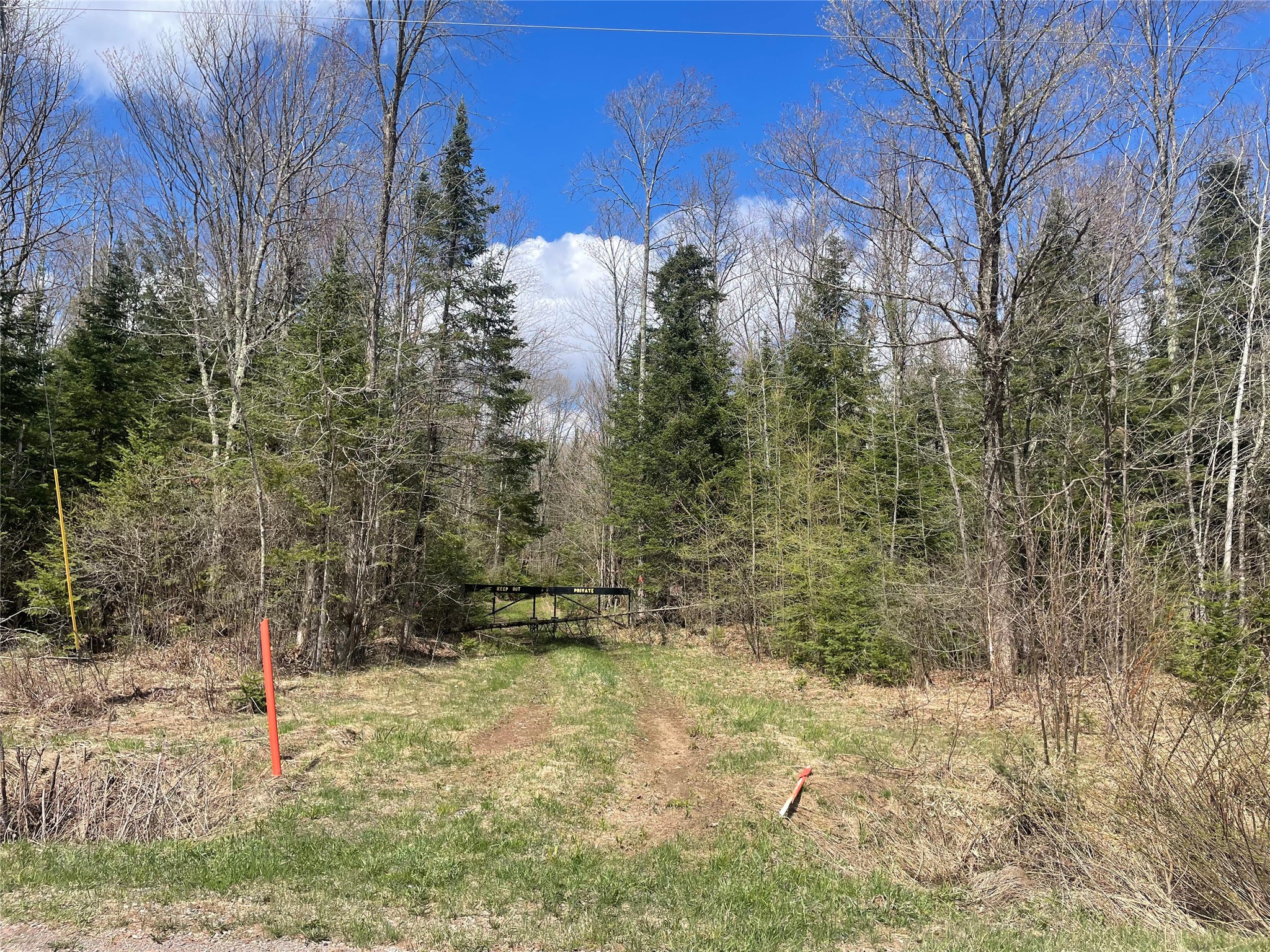 40+/- Acres On Pociask Road Butternut WI 54514 1601091 image1