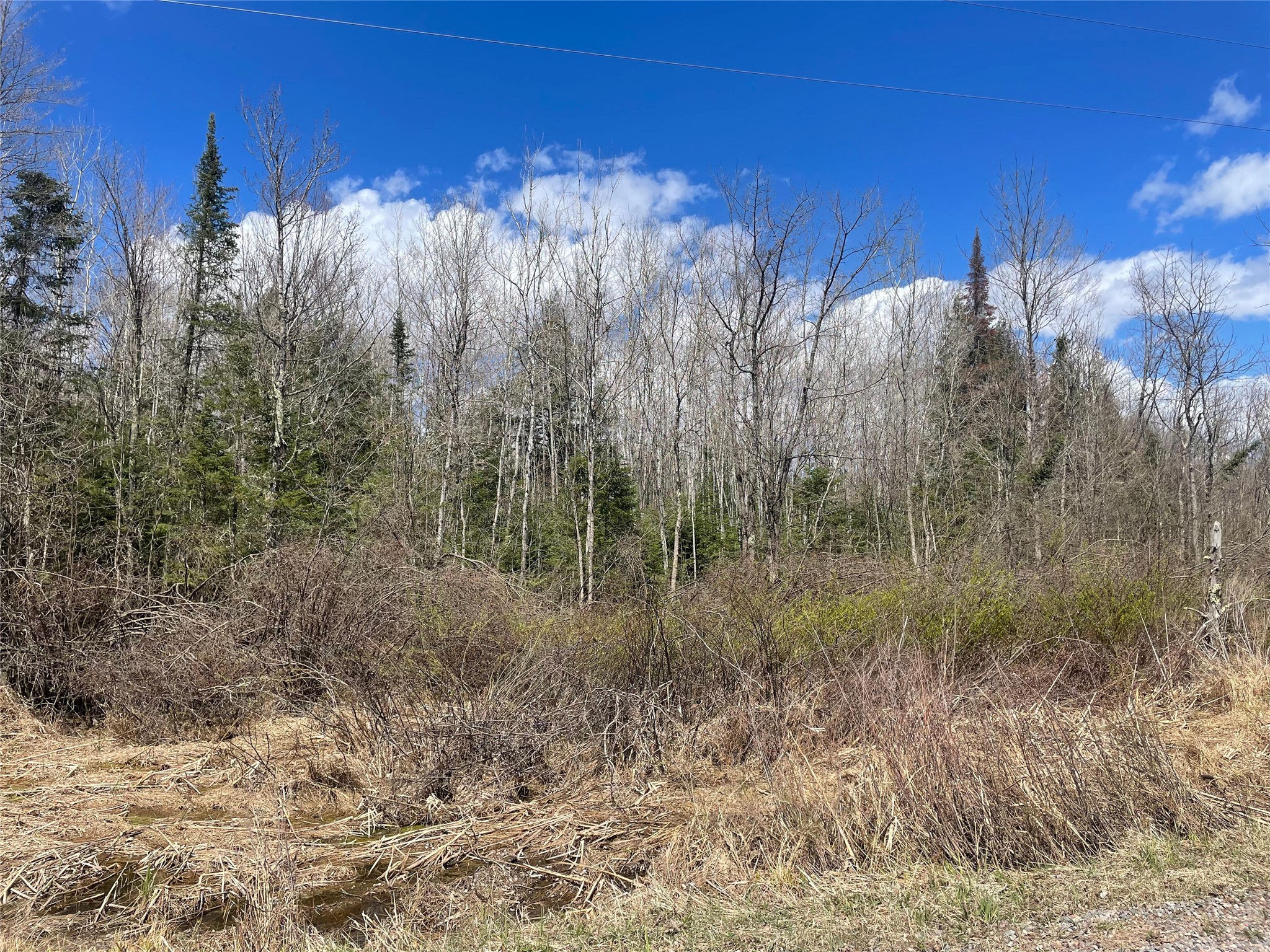40+/- Acres On Pociask Road Butternut WI 54514 1601091 image2