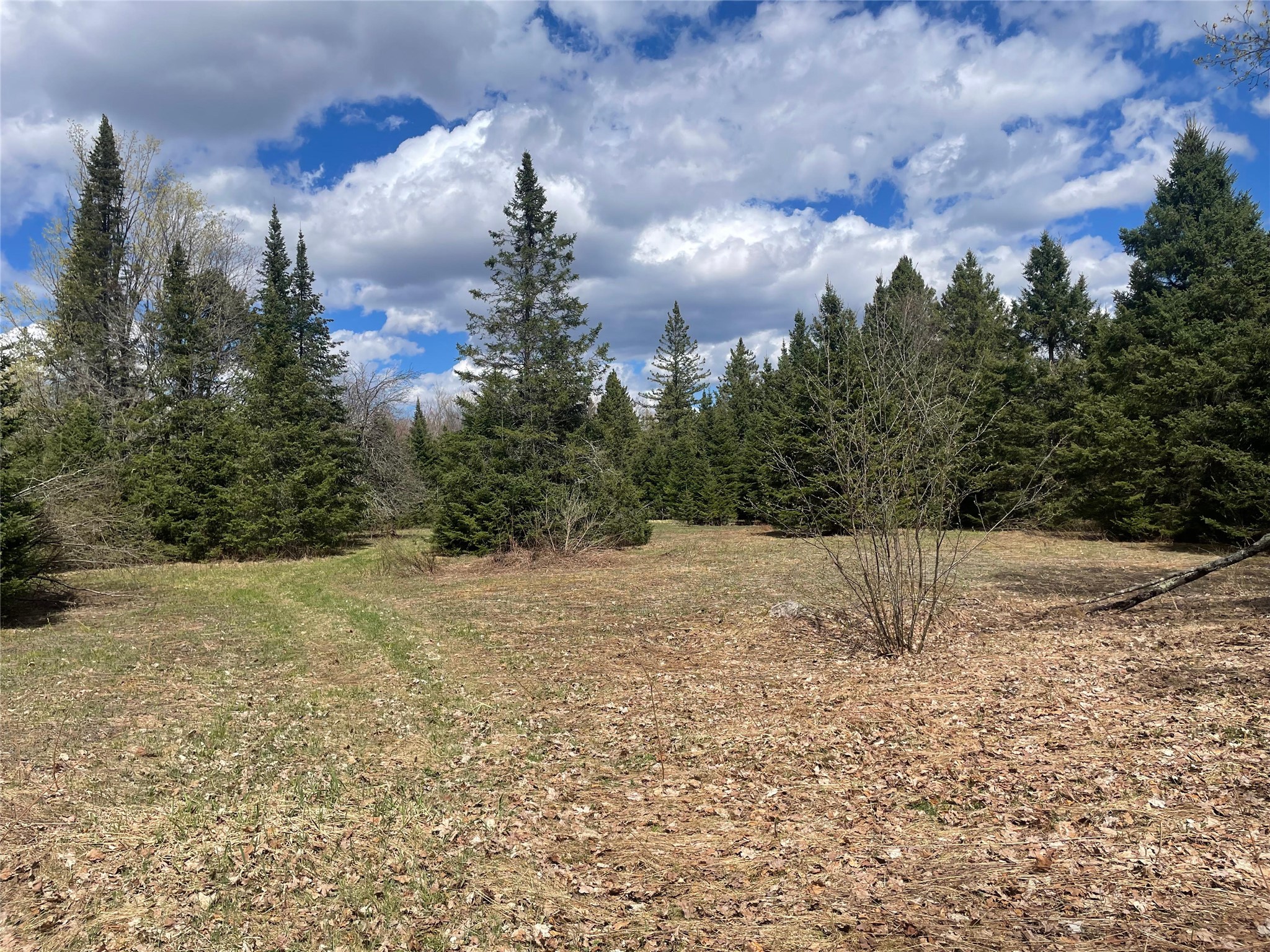 40+/- Acres On Pociask Road Butternut WI 54514 1601091 image6