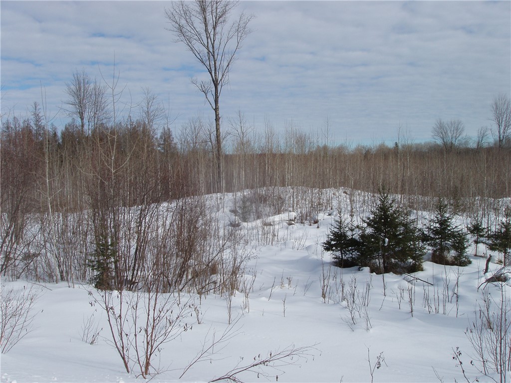 40+/- Acres on County Rd E Park Falls WI 54552 1598975 image1