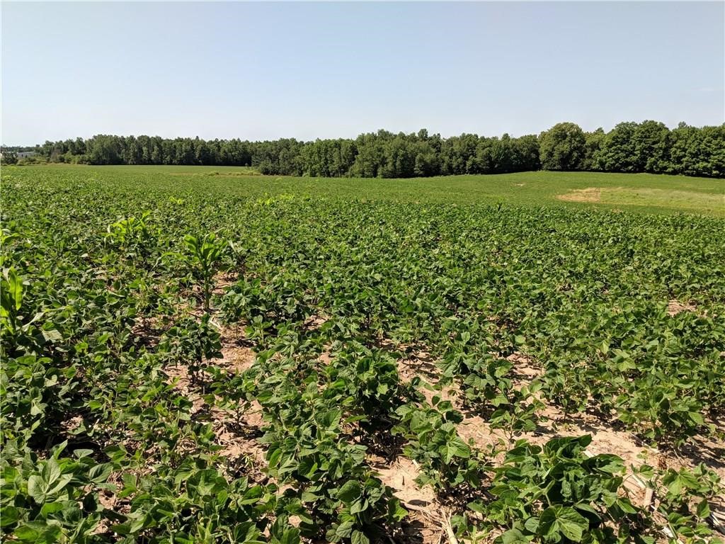40 acres County Road B W Glen Flora WI 52526 1599481 image3