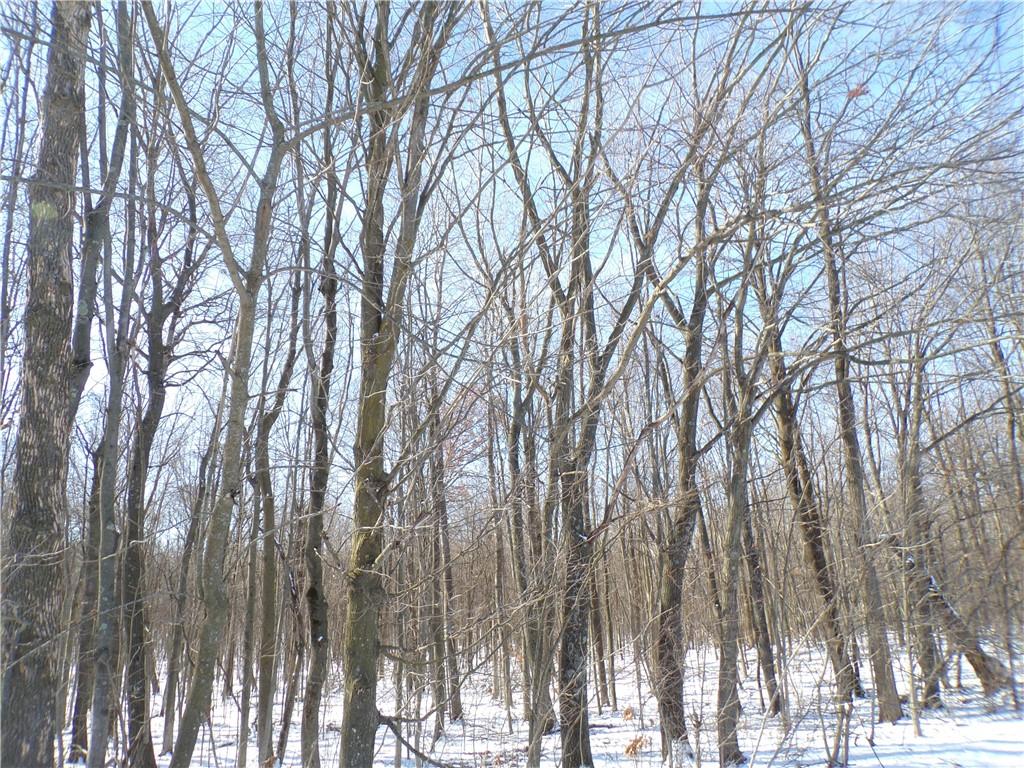 40 acres St. Bridget Drive Cadott WI 54727 1579660 image1