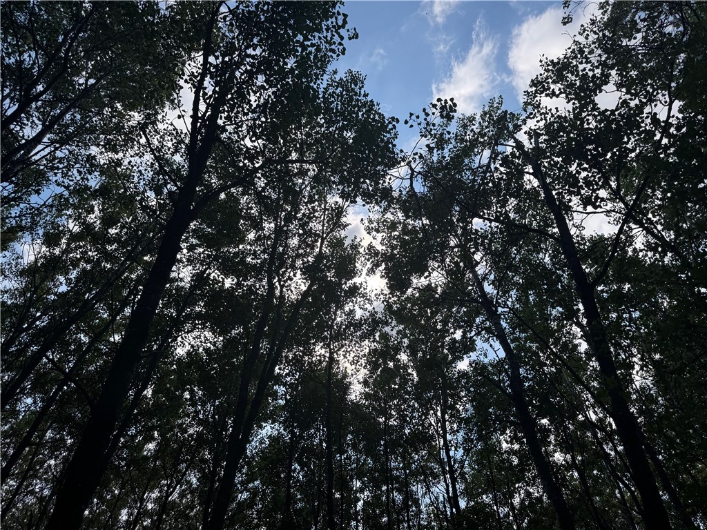 40 acres on Highway 63 Springbrook WI 54875 1594719 image13