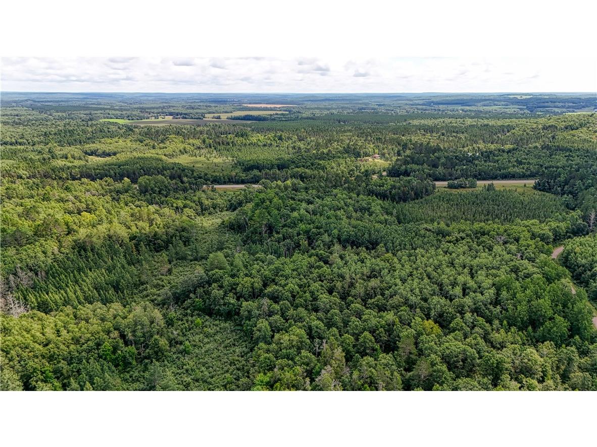 40 acres on Highway 63 Springbrook WI 54875 1594719 image14