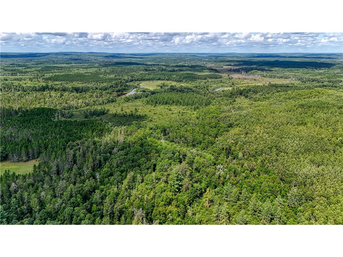 40 acres on Highway 63 Springbrook WI 54875 1594719 image3