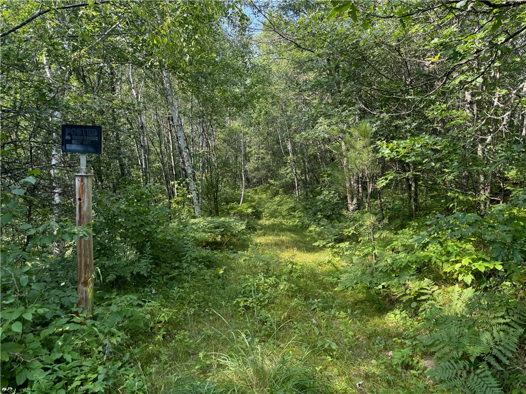 40 acres on Highway 63 Springbrook WI 54875 1594719 image6