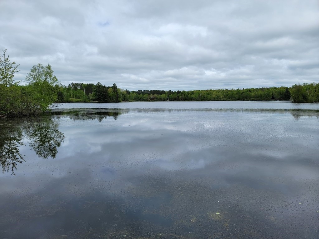 4055W Lester Lane Loretta WI 54896 - Loretta Lake 1591787 image28