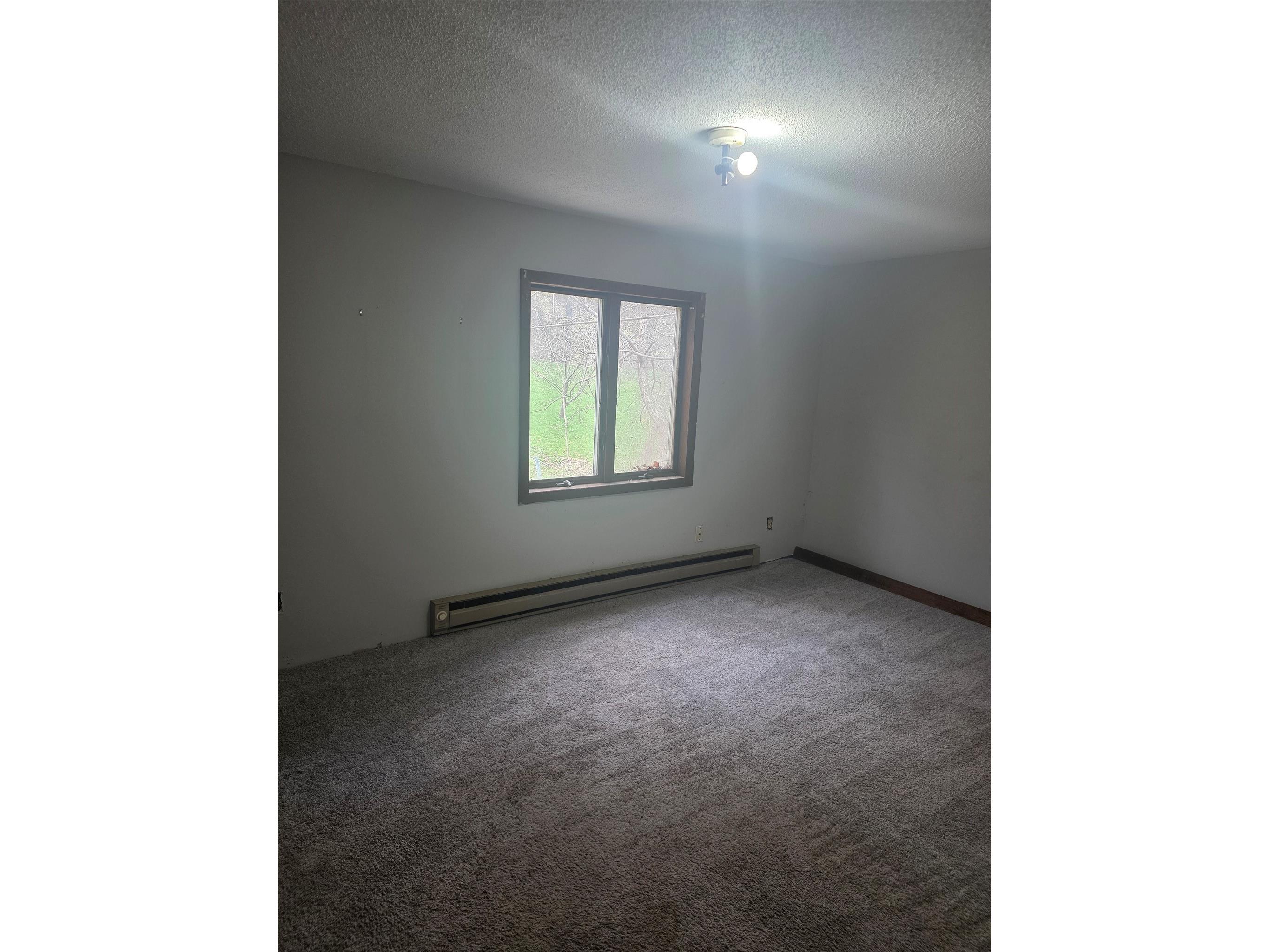 408 Main Street #1-3 Plum City WI 54761 1600537 image6