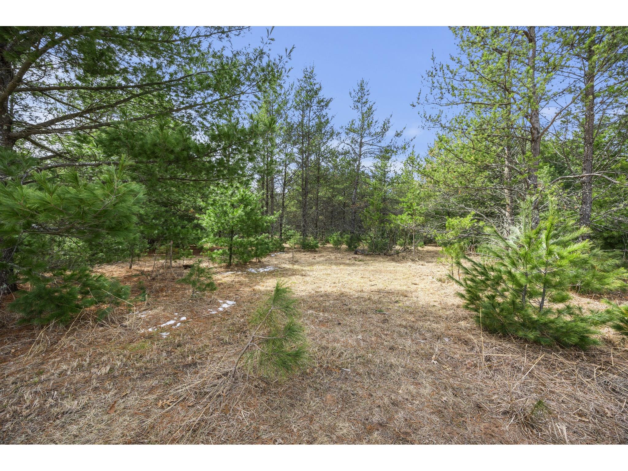 409 N Russell Street Grantsburg WI 54840 1599717 image37