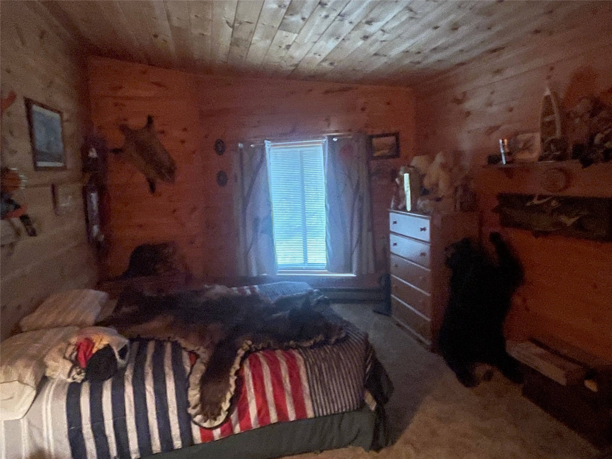 4091 W North Clover Road Winter WI 54896 - Blaisdell Lake 1600069 image27