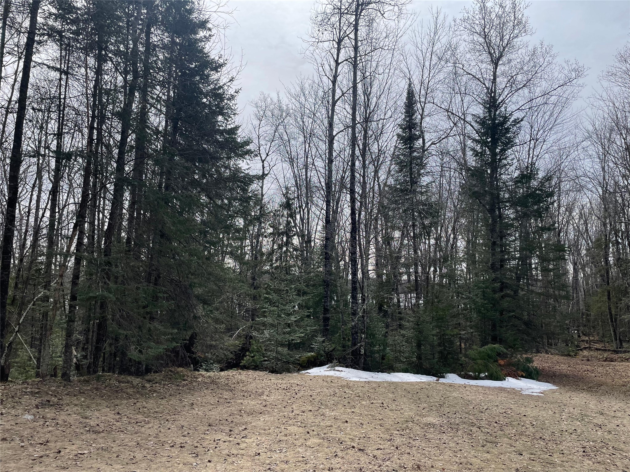 4091 W North Clover Road Winter WI 54896 - Blaisdell Lake 1600069 image31