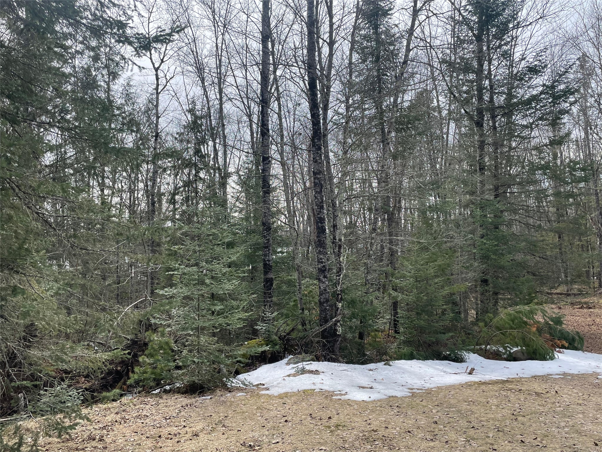 4091 W North Clover Road Winter WI 54896 - Blaisdell Lake 1600069 image32