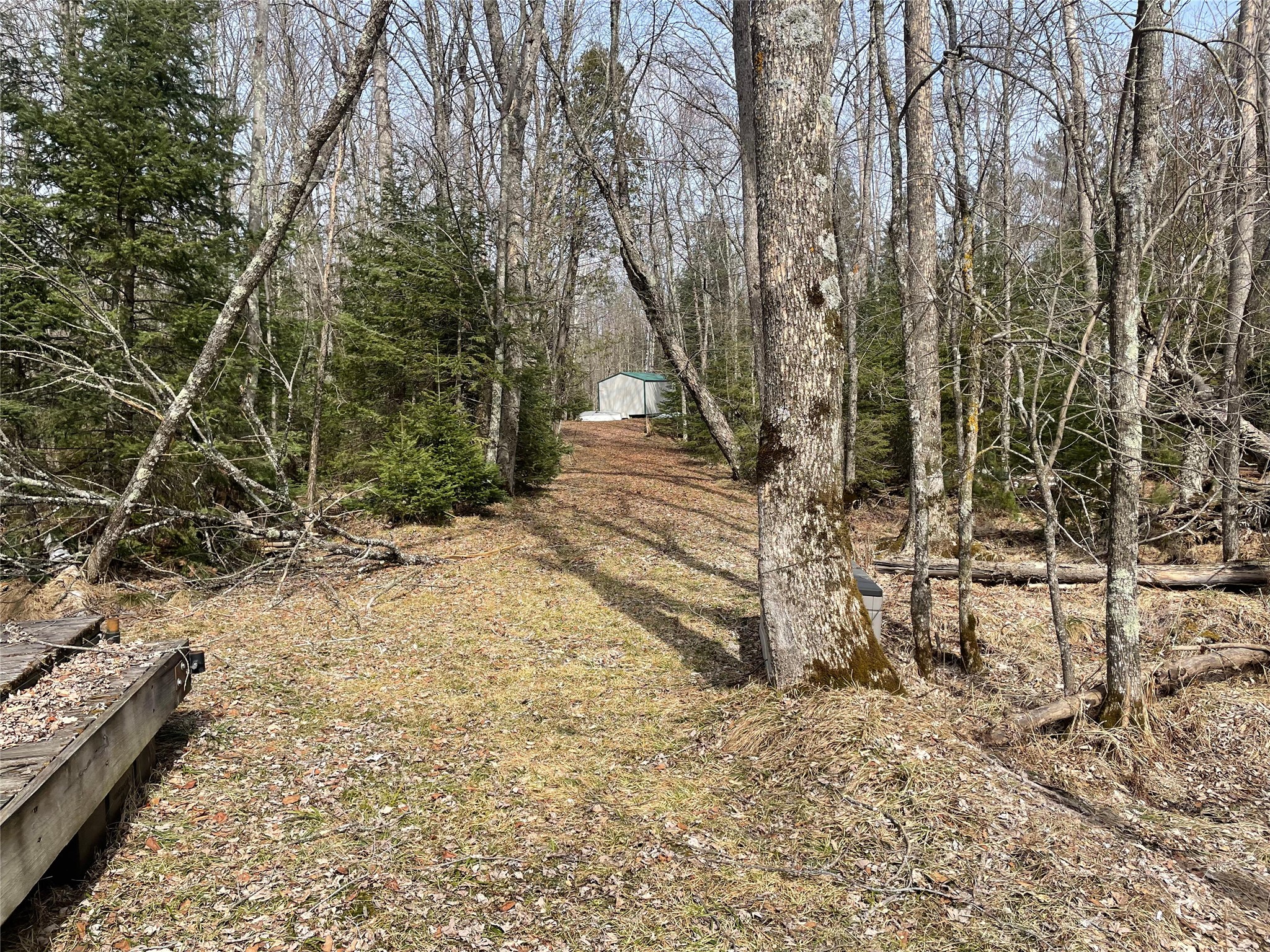 4091 W North Clover Road Winter WI 54896 - Blaisdell Lake 1600069 image33