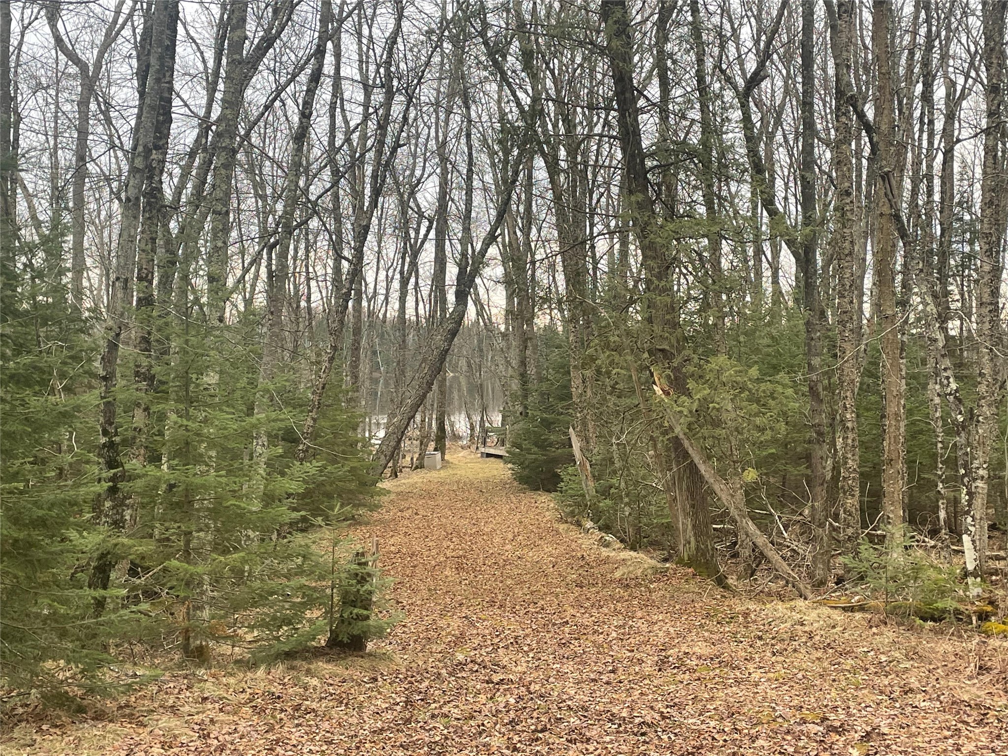 4091 W North Clover Road Winter WI 54896 - Blaisdell Lake 1600069 image36