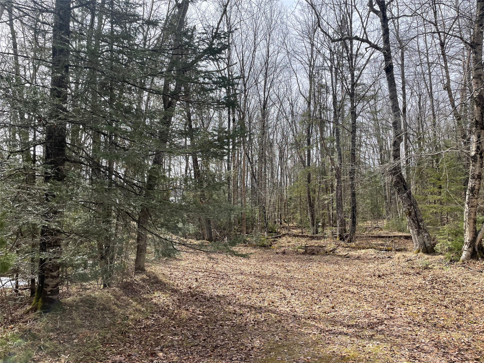 4091 W North Clover Road Winter WI 54896 - Blaisdell Lake 1600069 image8
