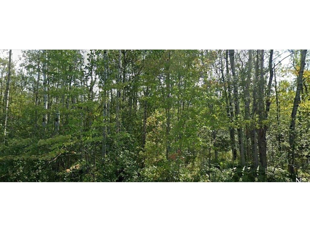 40ac E County Road B Road Oakland WI 54874 1581622 image1