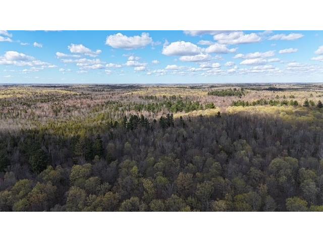 4172W Clover Road Winter WI 54896 1601292 image25