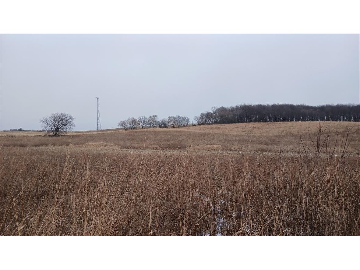 42 Acres 82nd Street Bloomer WI 54724 1587705 image1