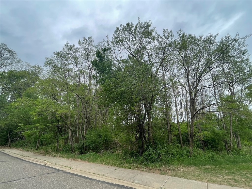 420/422 Tony Street Osceola WI 54020 1591778 image1