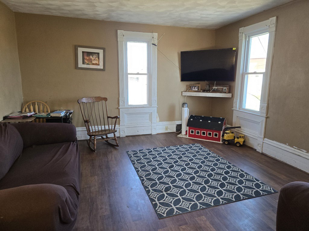 4239 Reeson Road Barneveld WI 53507 - East Branch Pecatonica River 1599146 image25