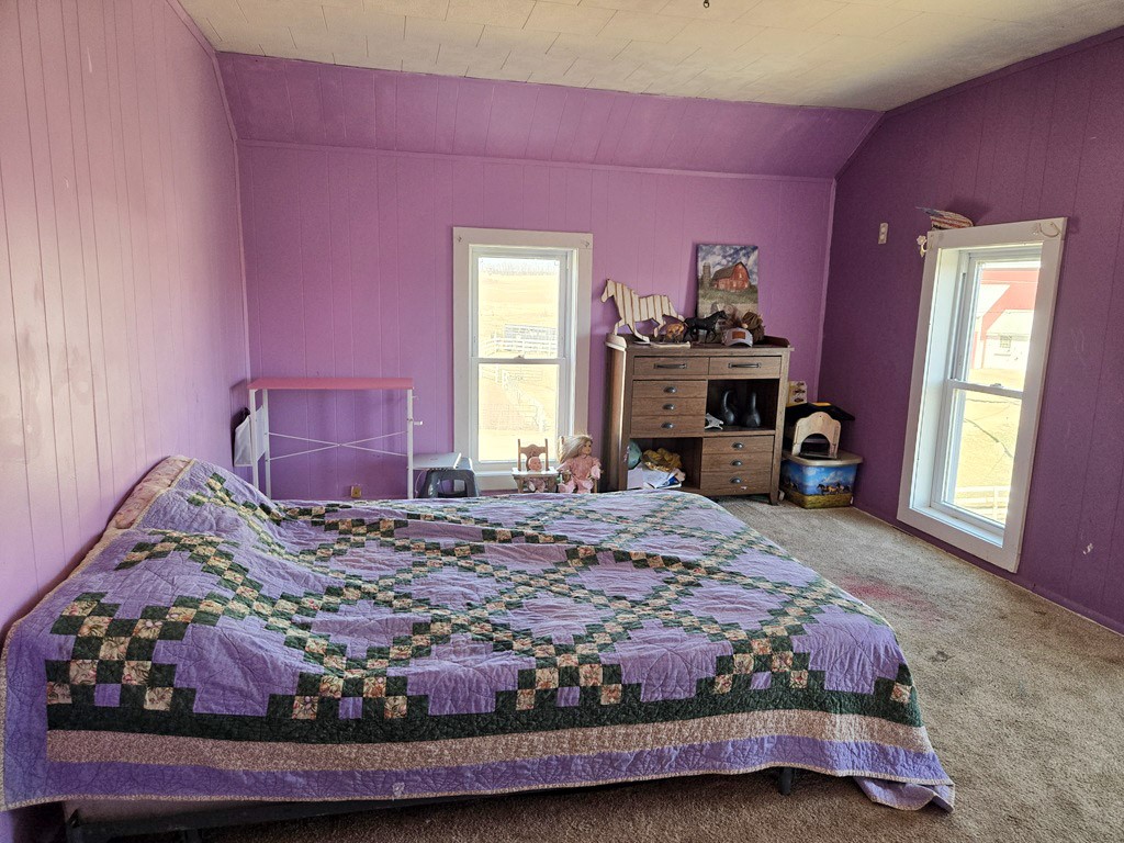 4239 Reeson Road Barneveld WI 53507 - East Branch Pecatonica River 1599146 image29