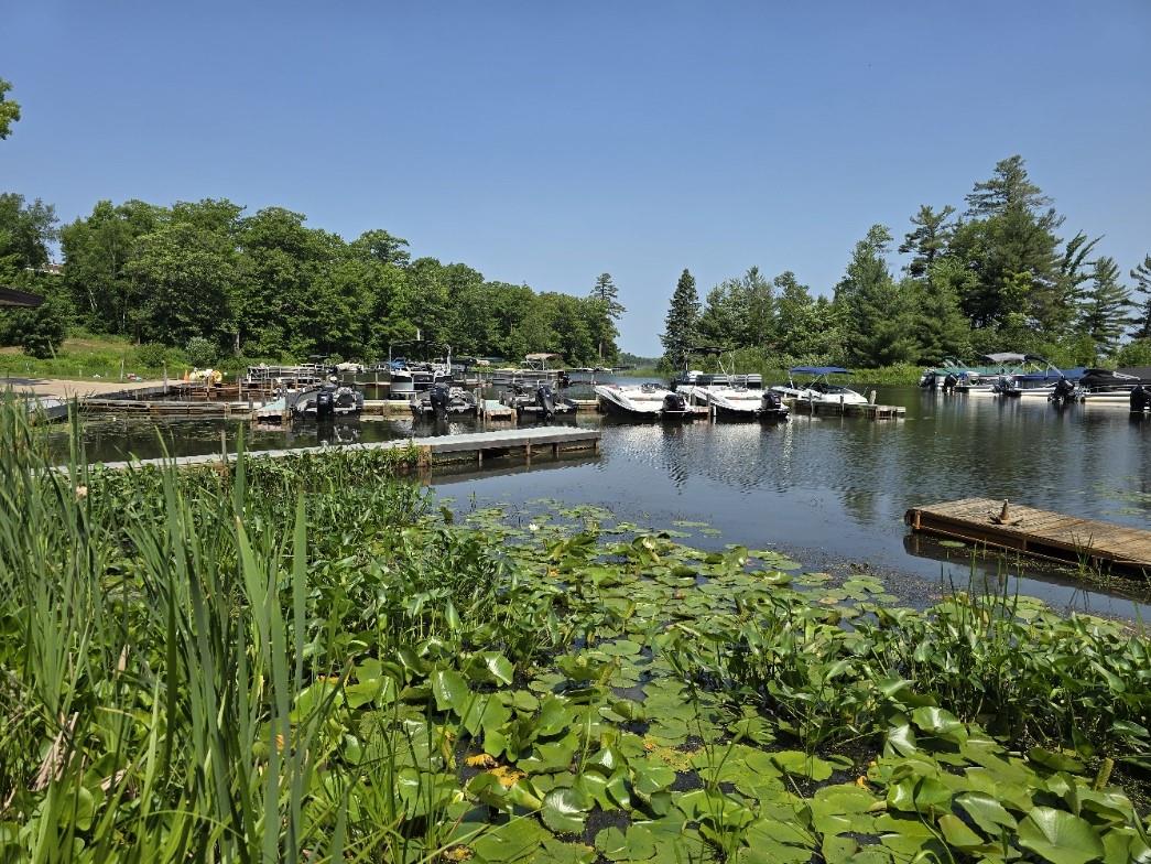 42950 Lakewoods Drive #105 Cable WI 54821 - Namakagon 1602791 image26