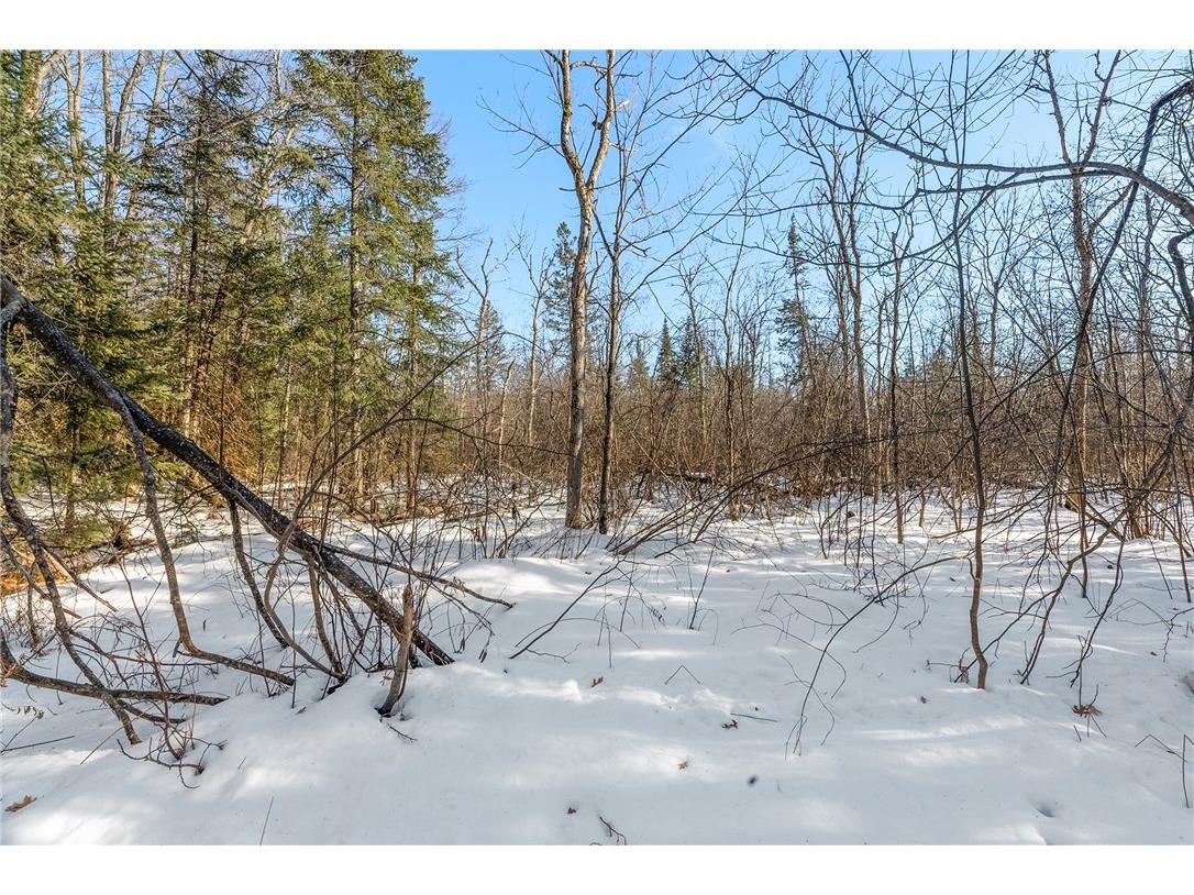431 Spring Lake Road Rhinelander WI 54501 1598505 image29