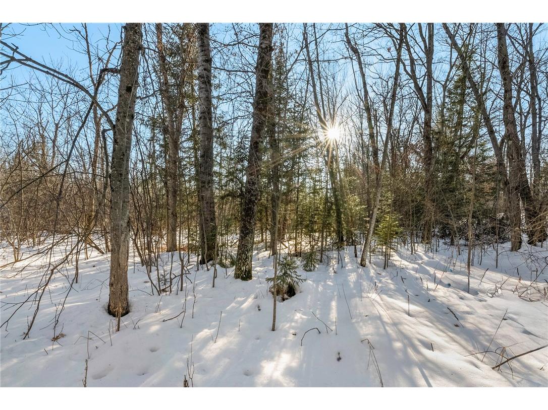 431 Spring Lake Road Rhinelander WI 54501 1598505 image30