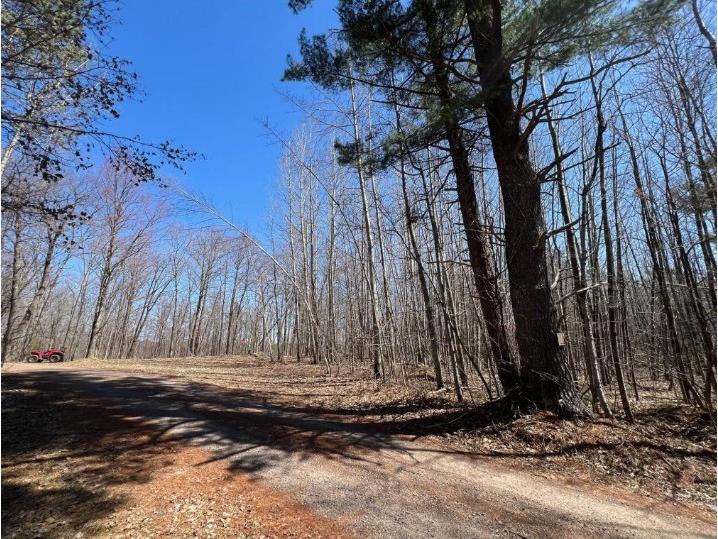 43TBD Red Oak Lane Stone Lake WI 54876 - Slim Lake 1600230 image19