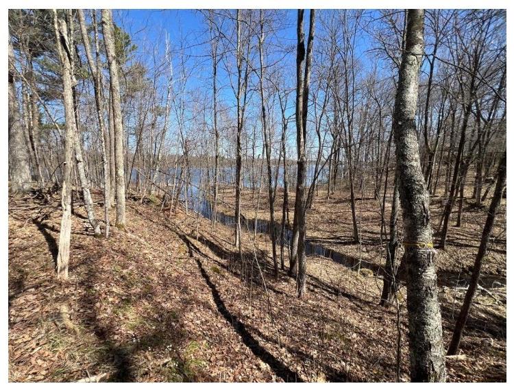 43TBD Red Oak Lane Stone Lake WI 54876 - Slim Lake 1600230 image3