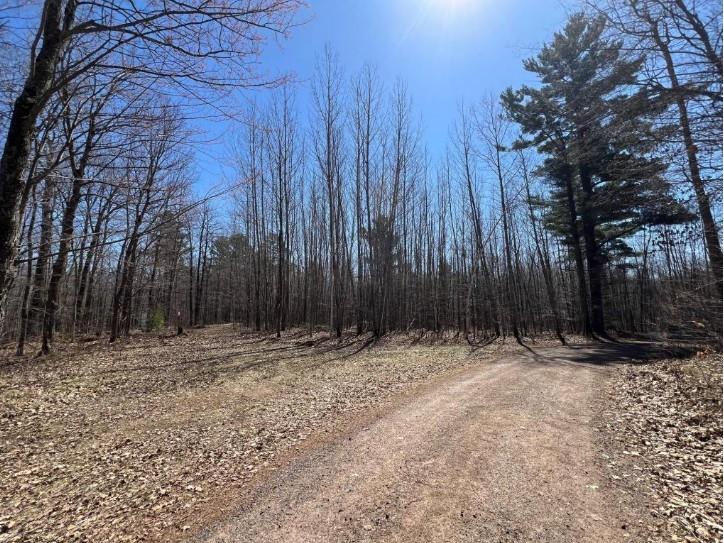 43TBD Red Oak Lane Stone Lake WI 54876 - Slim Lake 1600230 image4