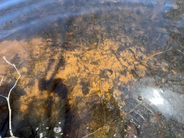 43TBD Red Oak Lane Stone Lake WI 54876 - Slim Lake 1600230 image8